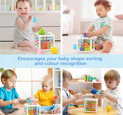 Shape Sorting Game